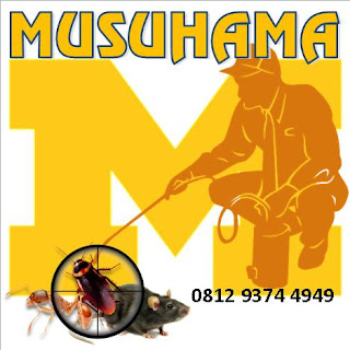 jasa pest control murah