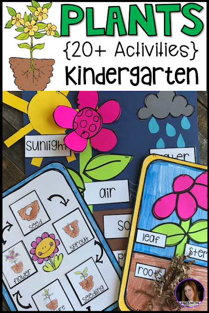 Plant activities and lessons are perfect for the spring months.  There are so many opportunities for hands on learning.  Plant Activities and Lessons is a cross-curricular unit that will help you meet both literacy and science standards and goals. 