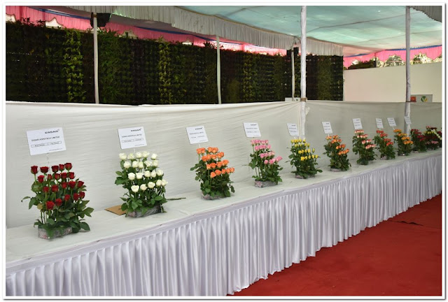 Mumbai International Airport and GVK Botanical Gardens in association with the Mumbai Rose Society bring to you the 4th 'International Flower Show