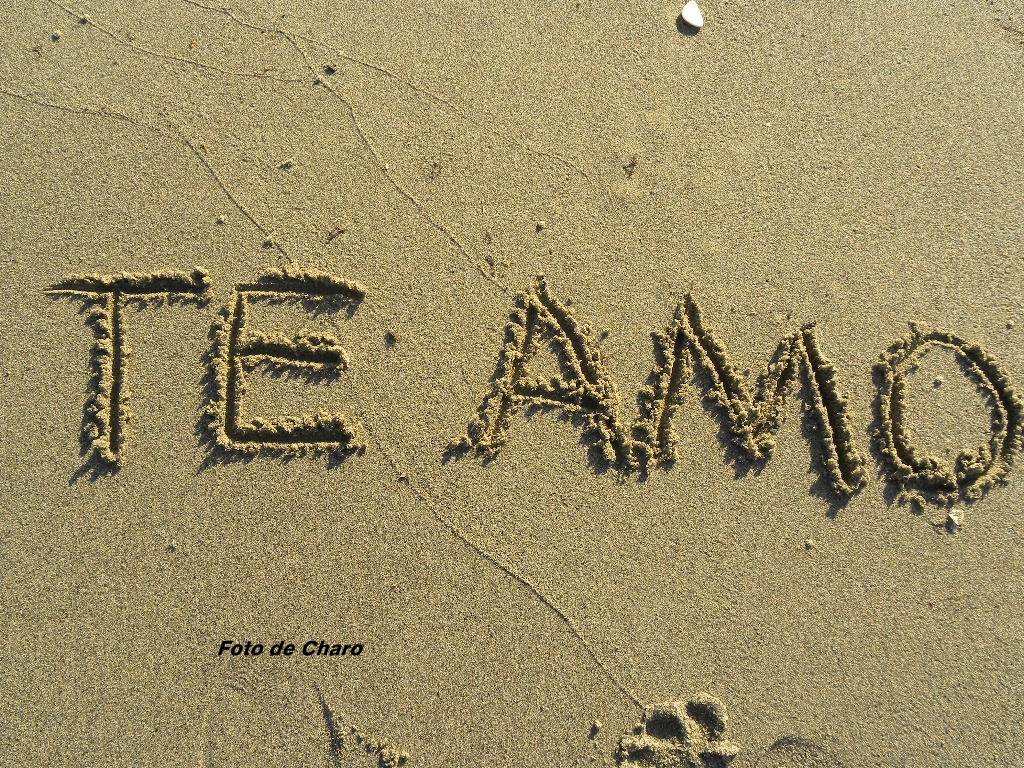 El Blog de Charo: TE AMARÉ POR SIEMPRE