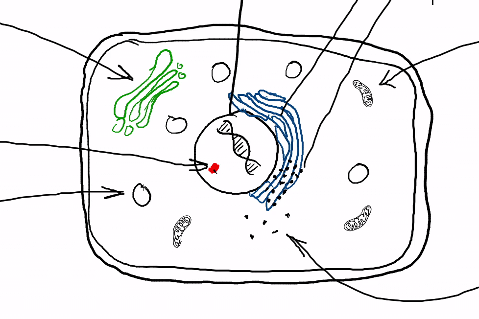 Книга как выйти из зоны комфорта скачать Книга как выйти из зоны комфорта скачать