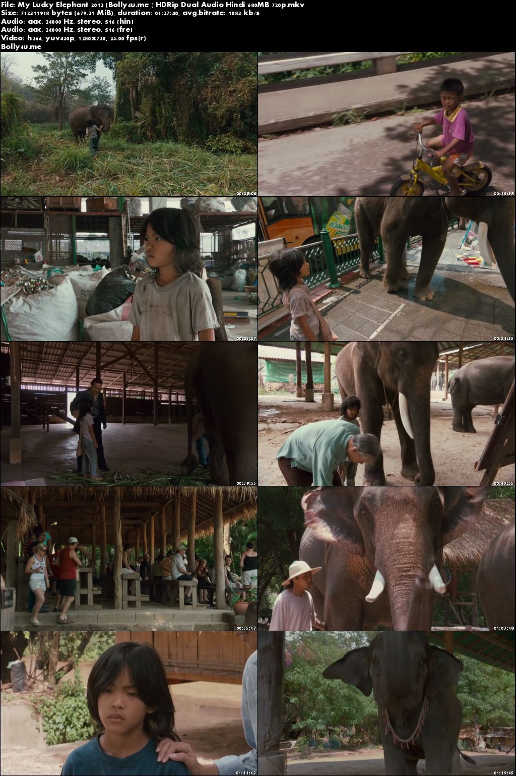 My Lucky Elephant 2013 HDRip 700MB Hindi Dual Audio 720p Download