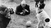 Fuente: https://www.bbc.com/news/av/magazine-35803741/pickles-dog-that-found-stolen-world-cup Pickles, una estrella mediática