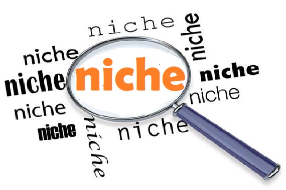 Niche with the highest CPC