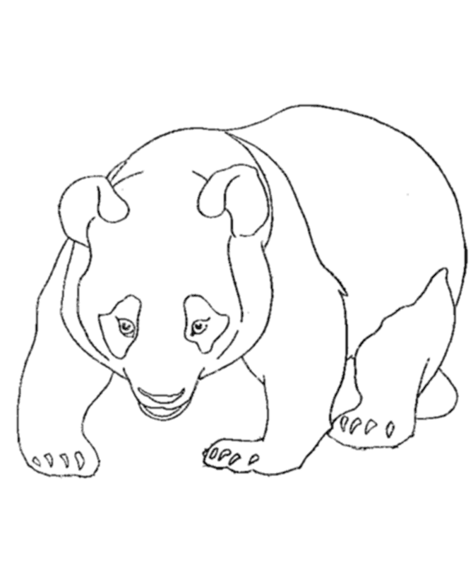panda online coloring pages - photo #1