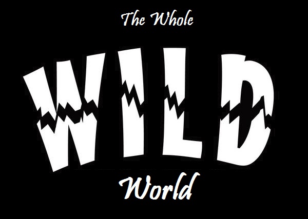 The Whole WILD World!