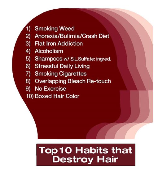 Number 1 Shampoo in the Land of Bubbles & SulfateFree Killerstrands