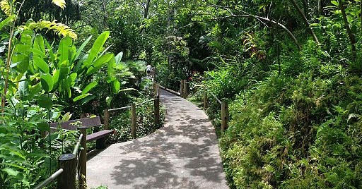 Karakter Desain Lanskap Taman Tropis - Desain Lanskap