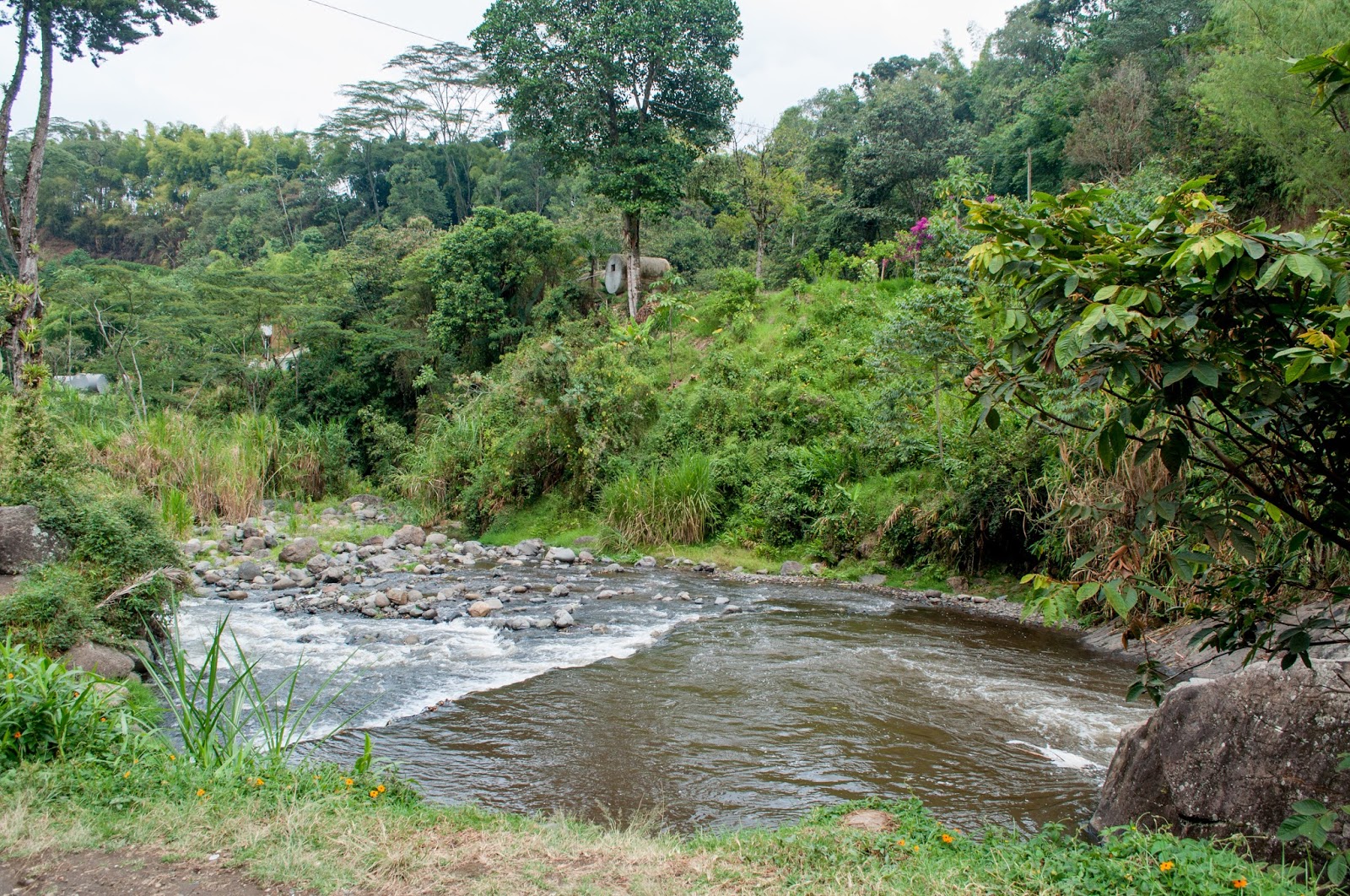 richard viajero el jardin de antioquia