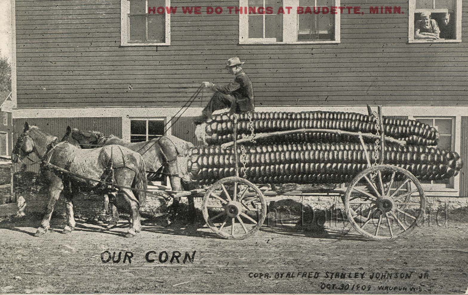 The Daily Postcard How We Do Things at Baudette