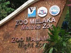 Klik : Zoo