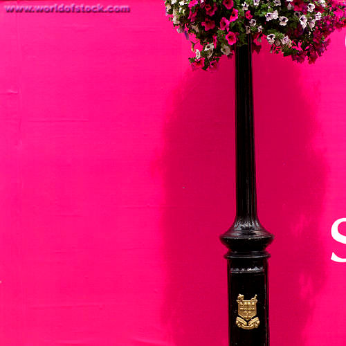 Hot Pink Paint Colors For Walls My Web Value 20 Hot Pink Bedrooms Design Ideas