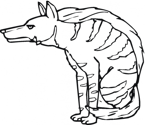 Hyena Coloring Pages Kidsuki Hyena Coloring Pages Kidsuki
