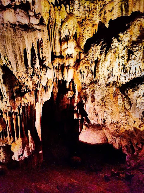 Stalagmit dan Stalaktit Postojna Cave Slovenia