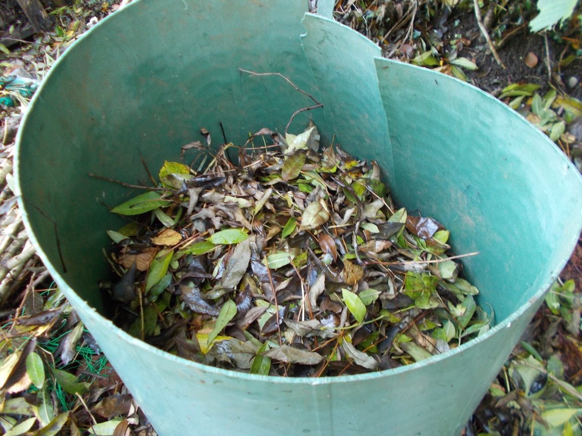 The Green Fingered Blog How to make leaf mould