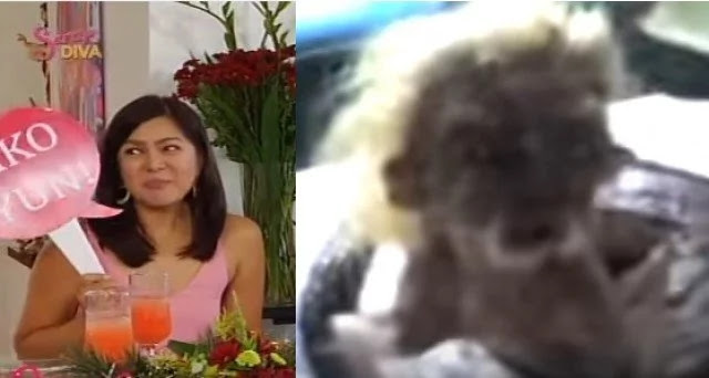 Did Alice Dixson Escape From The ‘Taong Ahhas’? Find Out About Her Experience Here! Did Alice Dixson Escape From The ‘Taong Ahhas’? Find Out About Her Experience Here!