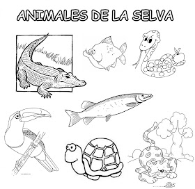 Resultado de imagen para animales de la selva peruana para colorear