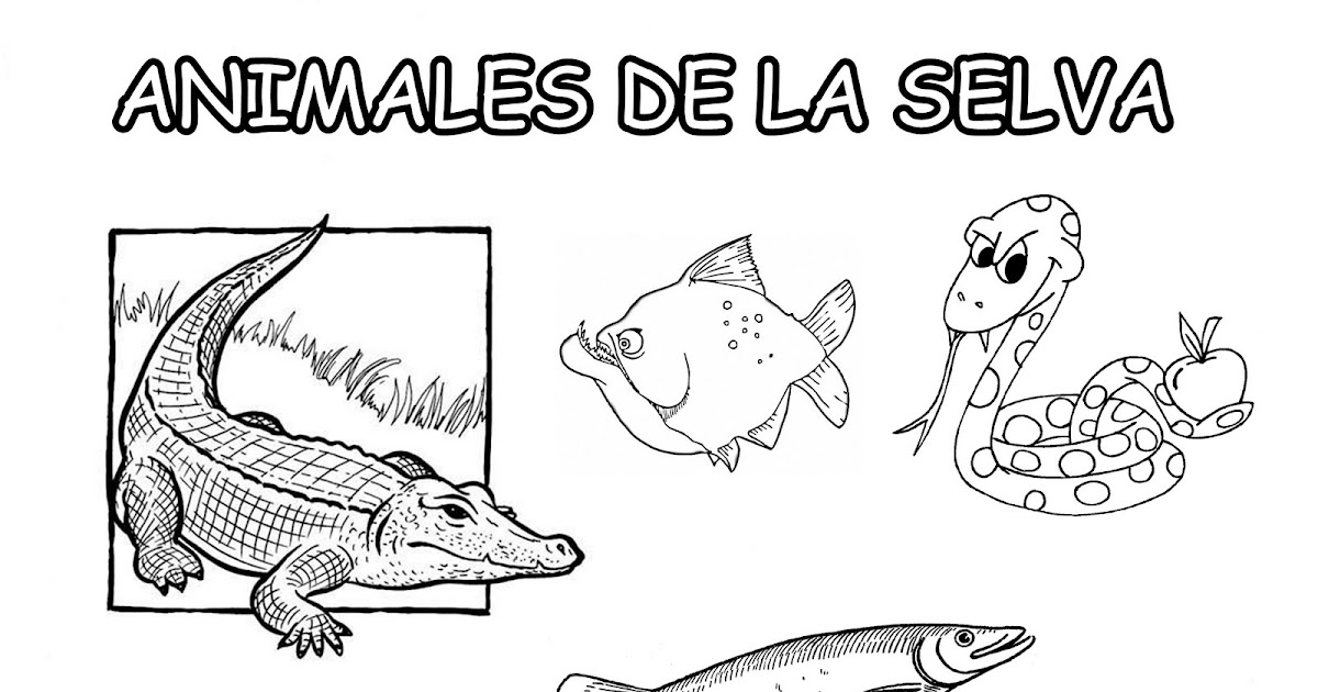 TE CUENTO UN CUENTO: Animales de la selva para colorear