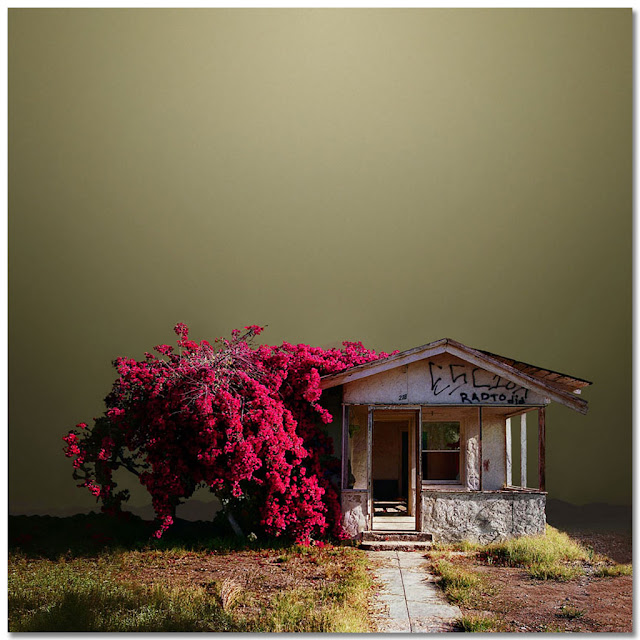 Architecture ©Ed Freeman