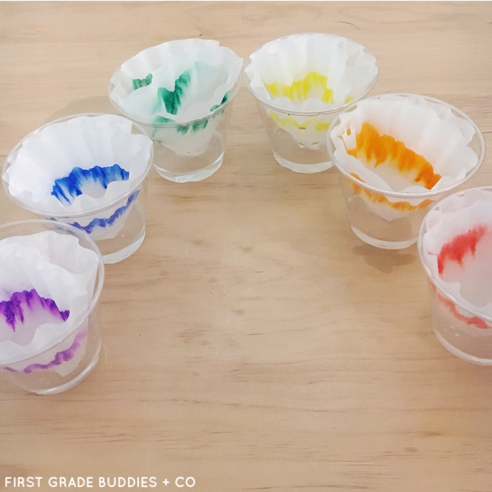 Simple Science Rainbow Coffee Filters First Grade Buddies