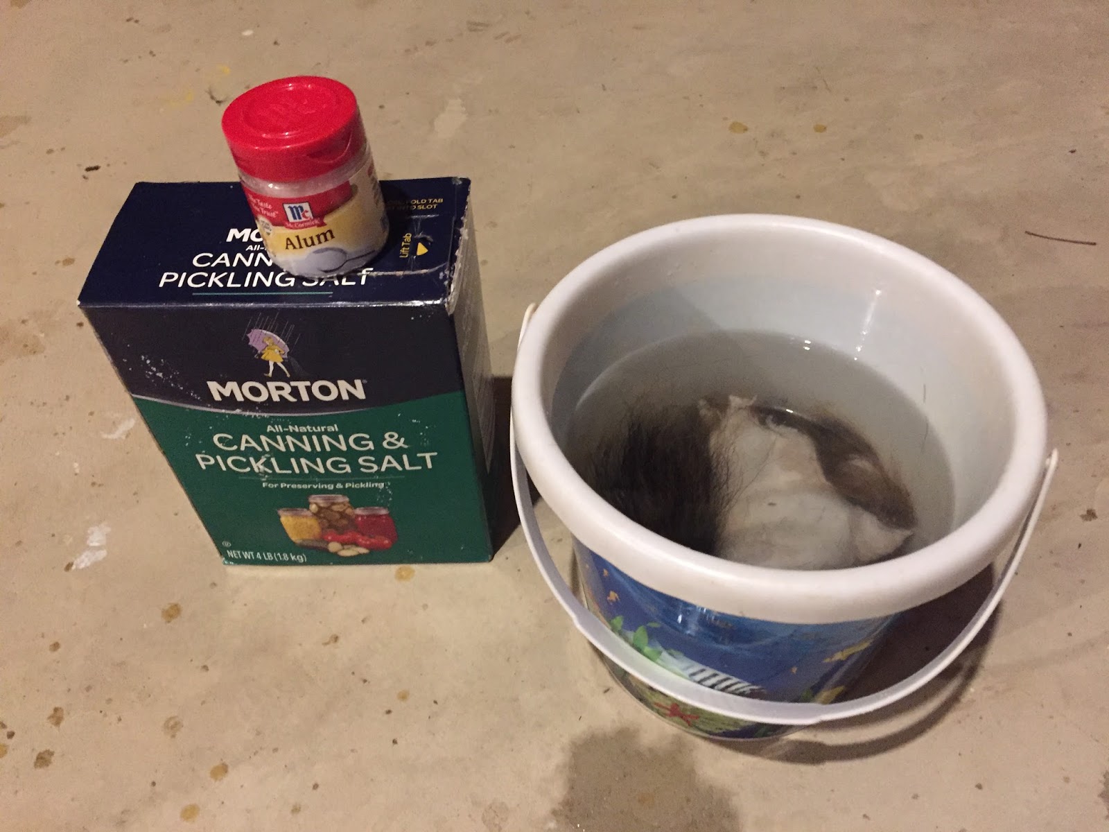 Traditional "Know How" DIY Taxidermy Tanning a Squirrel Hide with Alum