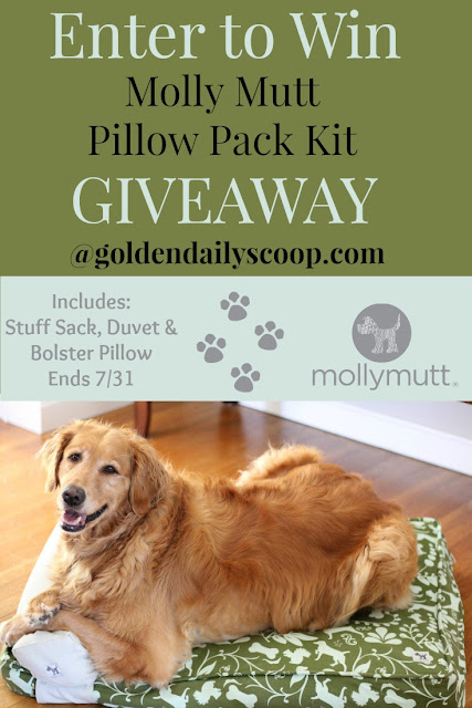 eco-friendly molly mutt dog beds review and giveaway