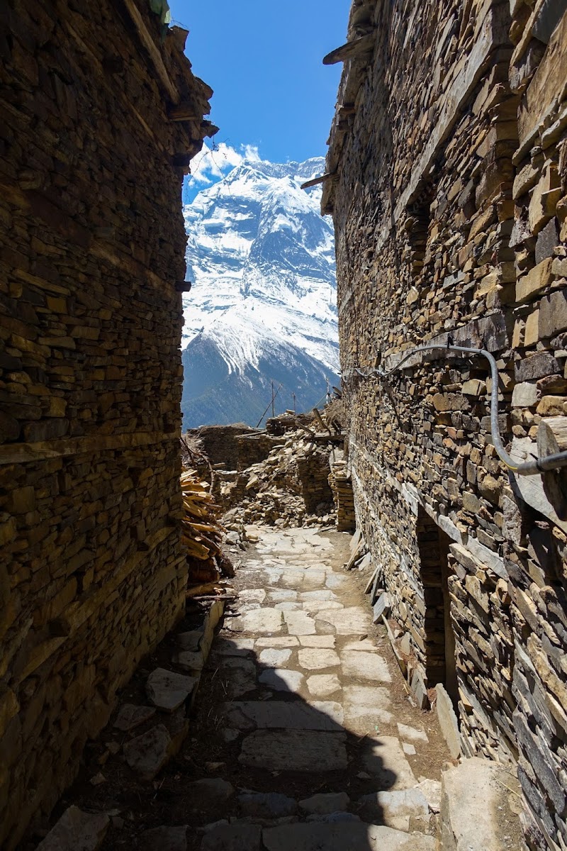 200км по красно-белым черточкам.. Around Annapurna. март-апрель 2017