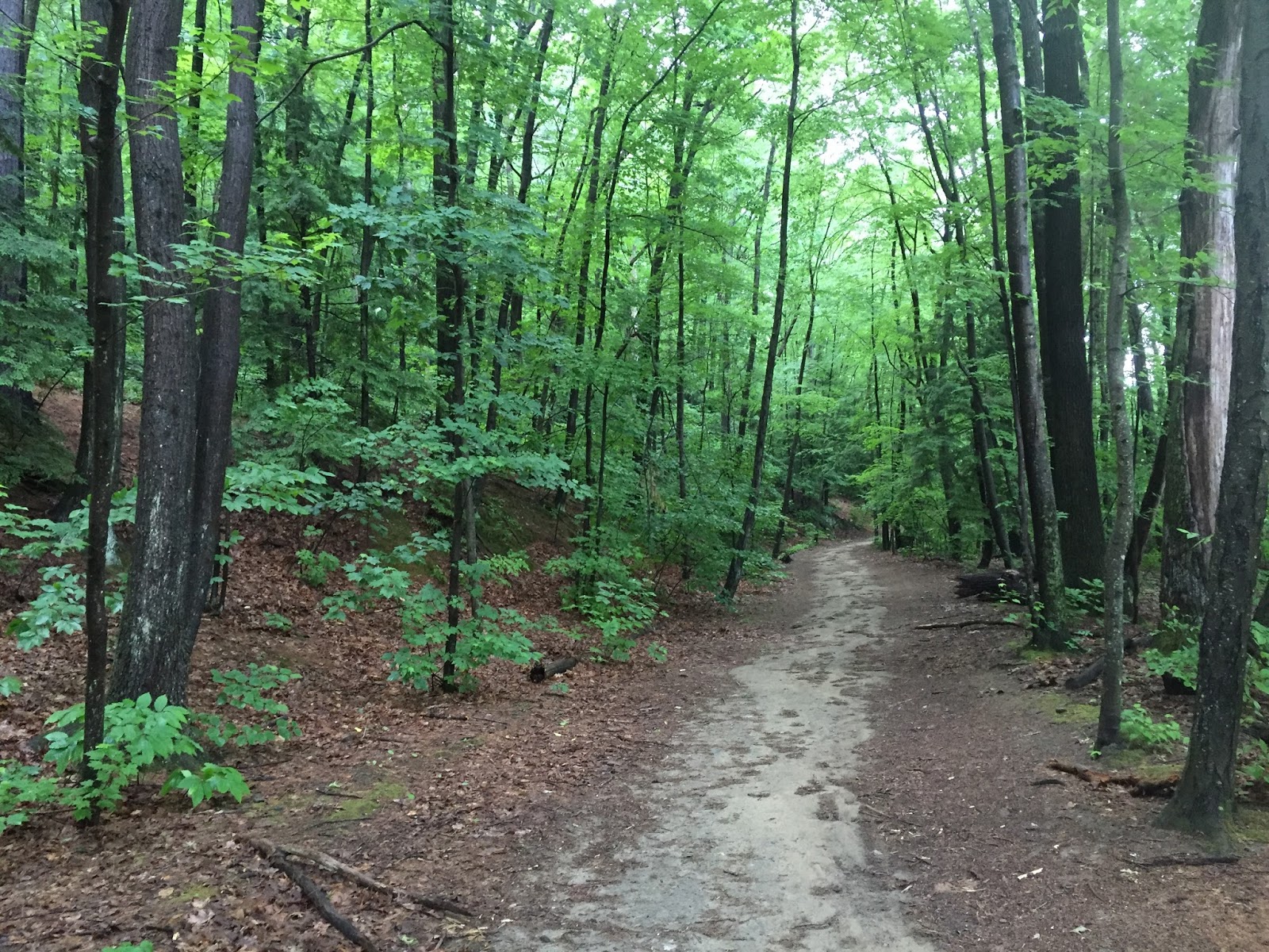 Southeastern Vermont Audubon Society Wantastiquet Mountain Natural Area