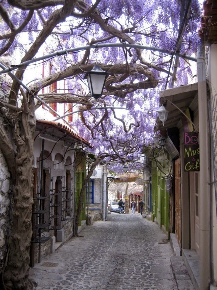Molyvos – a Tourist Capital of Historic Island of Lesbos, Hellas (Greece)