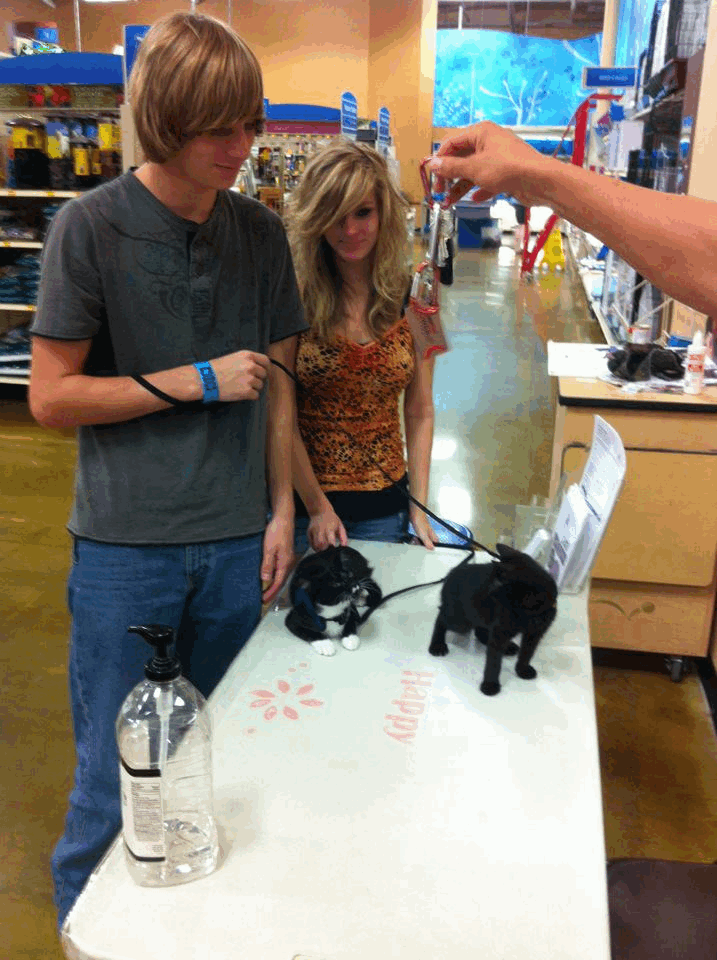 Humane Society of Eastern Carolina Events and Volunteer