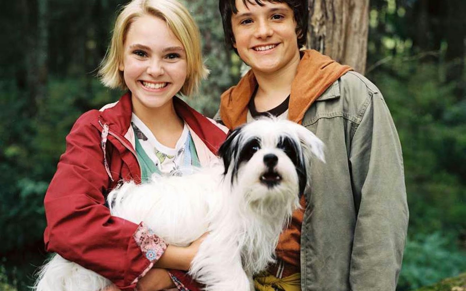 Un puente hacia Terabithia. Crítica. Un puente hacia Terabithia. Crítica.