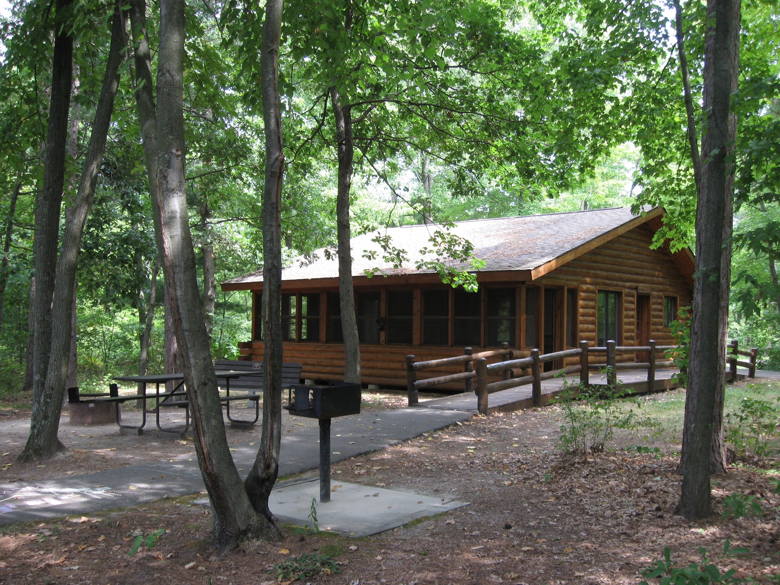 The Woods In A Cabin In The Woods