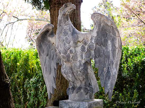 statue of eagle