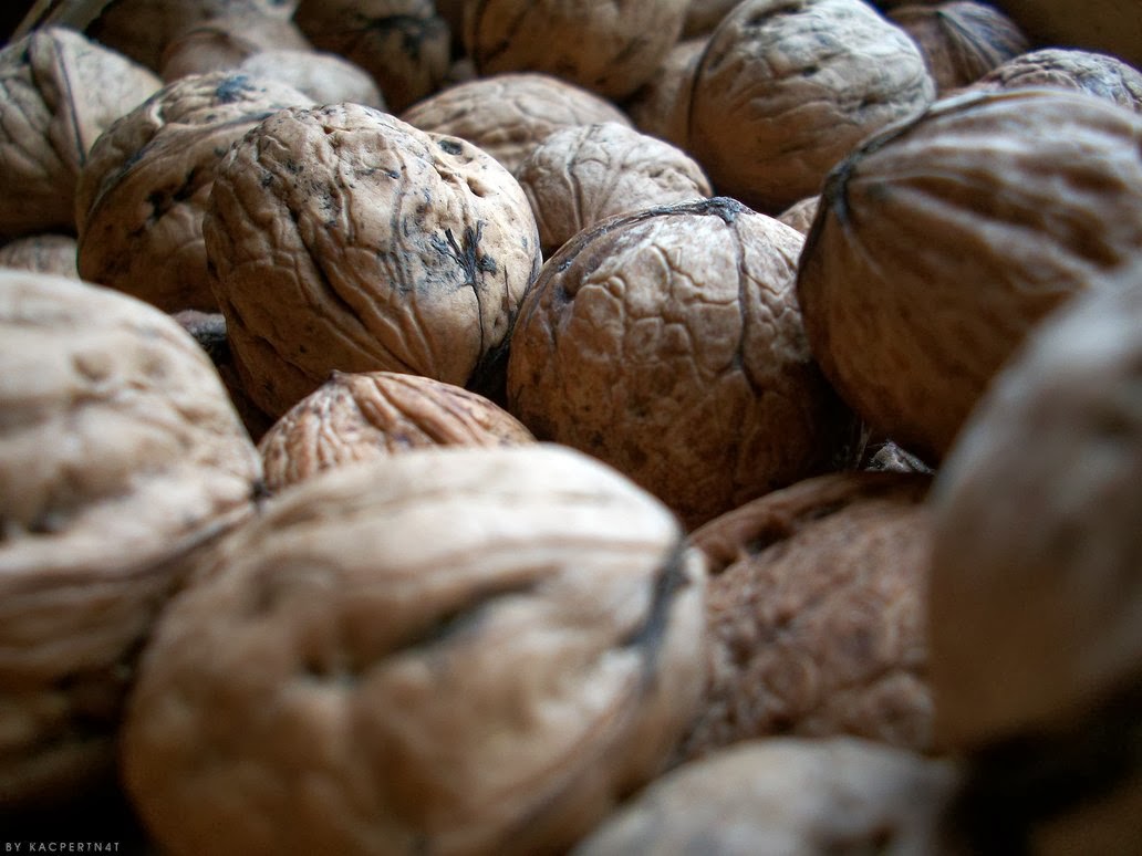 Walnuts Business: Что нужно знать об орехах и об Ореховом саде