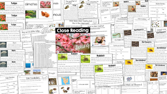 Spring Close Read on tulips,rabbits, earthworms, rain, bees, and frogs.3 leveled texts per topic, vocab word cards, defintion, and picture cards, and reading response pages.
