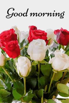 good morning flowers images