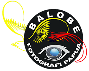 Balobe Fotografi Papua