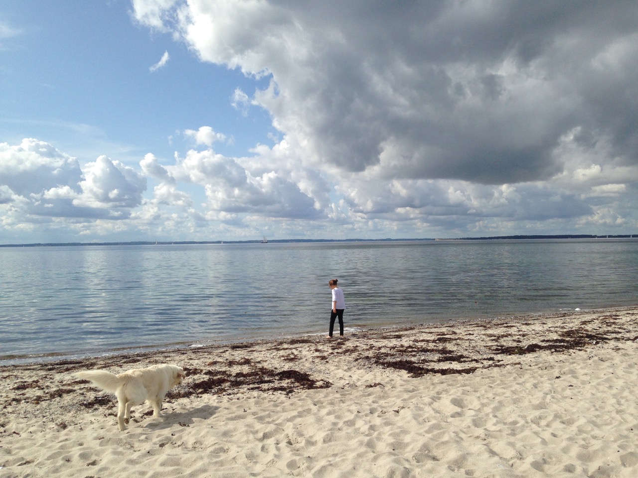 Dänemark: Insel Kegnaes und die Ostsee VisualVest/ Dänemark: Insel Kegnaes und die Ostsee