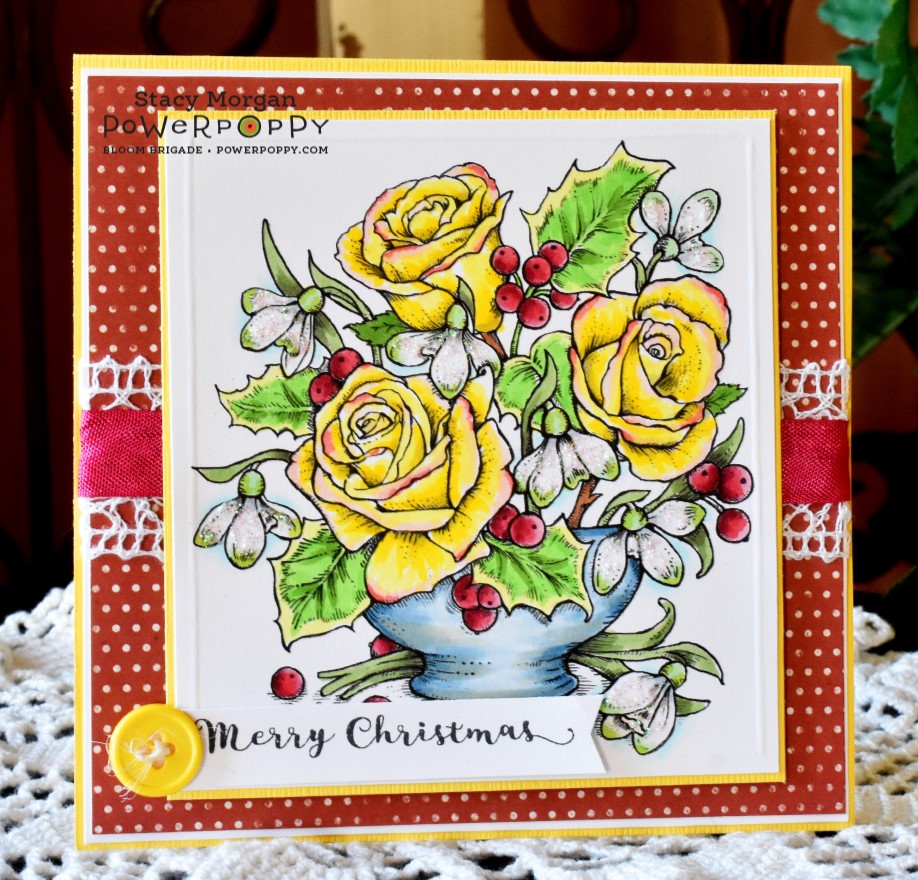 Twinshappy Christmas Roses
