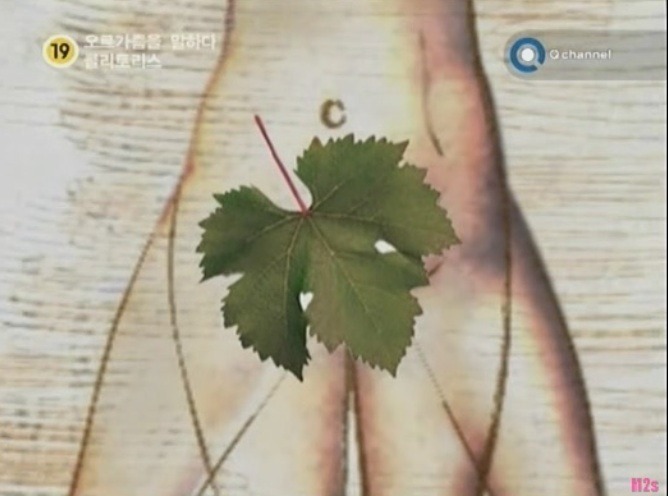오르가즘을 말하다, 클리토리스 - 디쁠