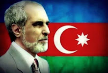 Camdaki Kiz Dr Gulseren Budayicioglu Nadir Kitap