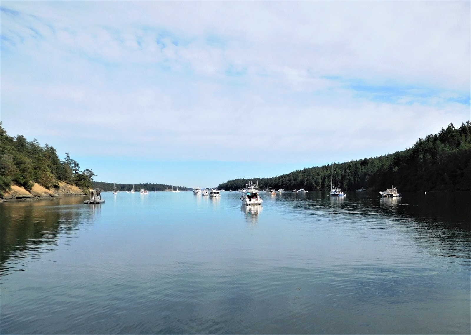 Rediscovering the West Side Stuart Island, a country scene