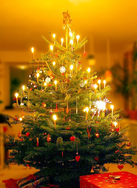 Contoh Desain Pohon Natal Cantik dan Indah | The Kolor