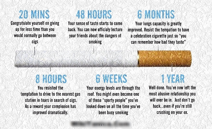 quitting smoking facts funny