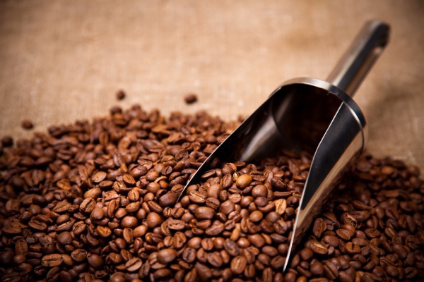 Forexpros cafe ee uu