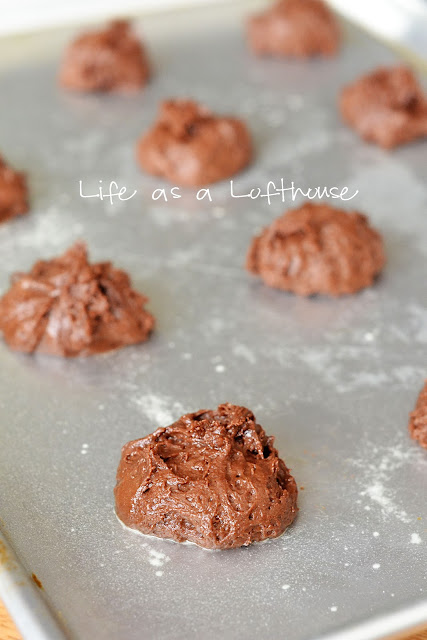 Chewy and dense Brownie Mix Cookies topped with a delicious cream cheese frosting. Life-in-the-Lofthouse.com