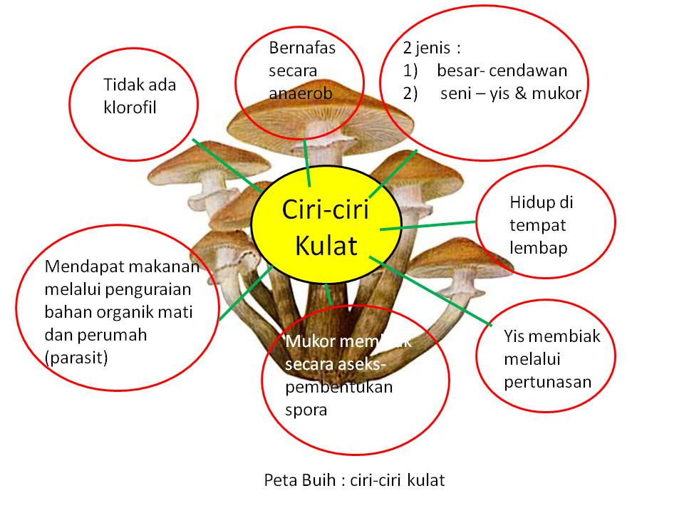 Nota fizik, Nota Sains Tingkatan 4, Nota Sains Tingkatan 5 