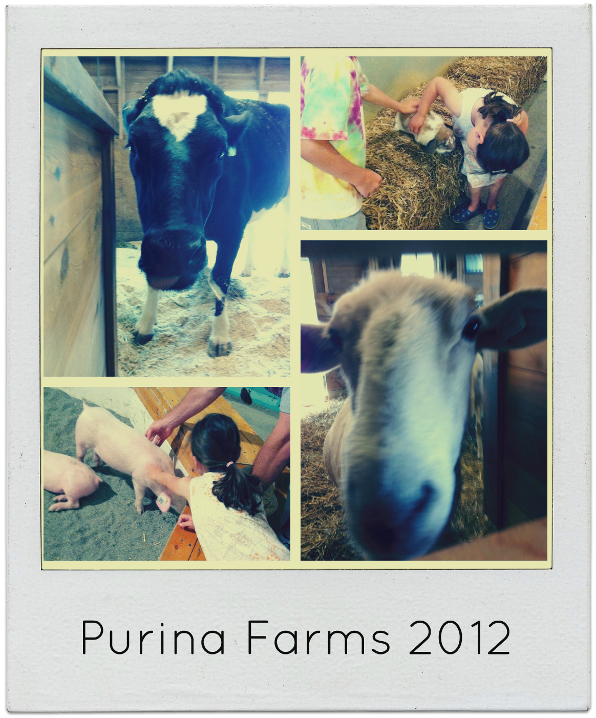 Purina Pick Dog Food Purina Pick Dog Food