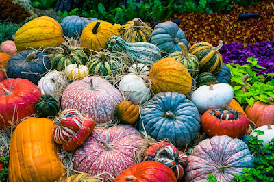 https://pixabay.com/en/pumpkin-vegetables-autumn-orange-2190584/