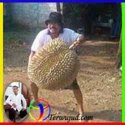 Durian-Mabuk